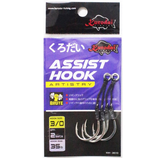 Assist hook used for jigging